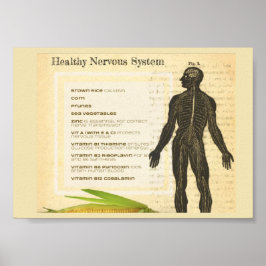 Póster Healthy Nervous System