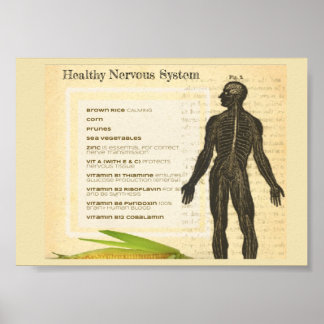 Póster Healthy Nervous System
