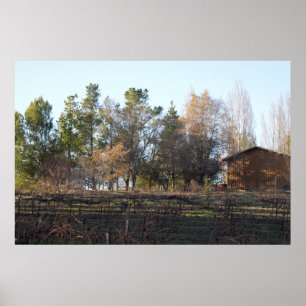 Póster Hearthstone Vineyard in Paso Robles, CA