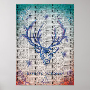 Póster Hechizo de Harry Potter   EXPECTO PATRONUM™Boceto 