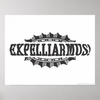 Póster Hechizo de Harry Potter | Expelliarmus!