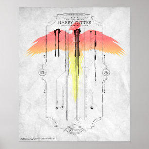 Póster Hechizo de Harry Potter   Infografía de la Varita 