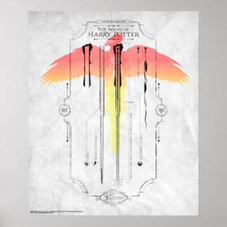 Póster Hechizo de Harry Potter | Infografía de la Varita