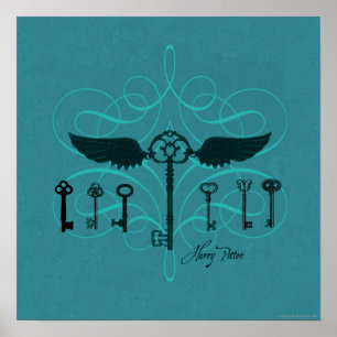 Póster Hechizo de Harry Potter Llaves Voladoras