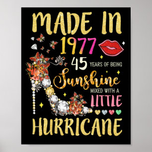 Póster Hecho En 1977 45 Años De Ser Mezclado Sunshine