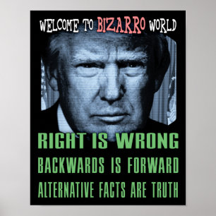 Póster Hechos Alternativos Son Verdad - Anti Presidente T