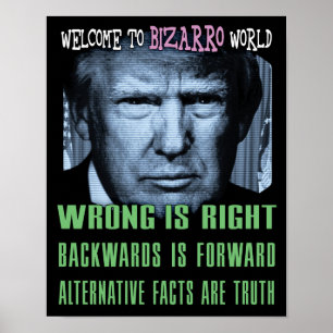 Póster Hechos Alternativos Son Verdad - Anti Presidente T