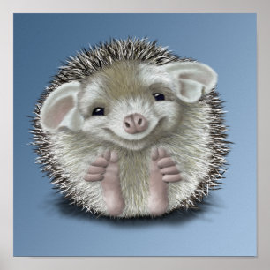 Póster Hedgehog