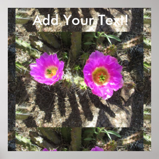 Póster Hedgehog Cactus