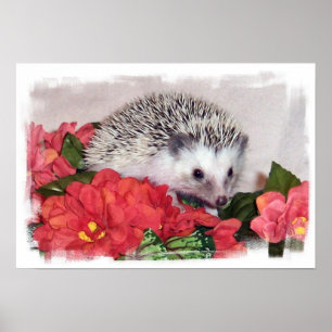 Póster Hedgehog Con Flores Naranjas