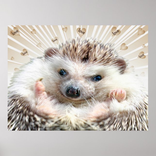 Póster Hedgehog Love Poster (Frente)