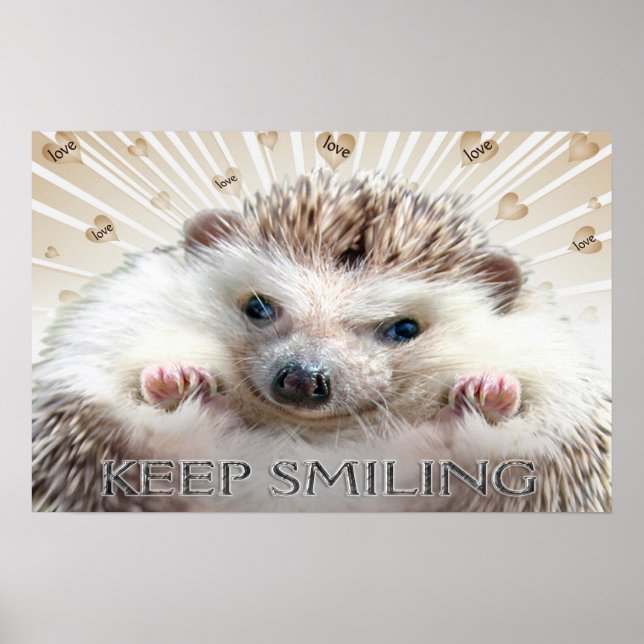 PÓSTER HEDGEHOG MANTENER POSTER SONRIENTE (Frente)