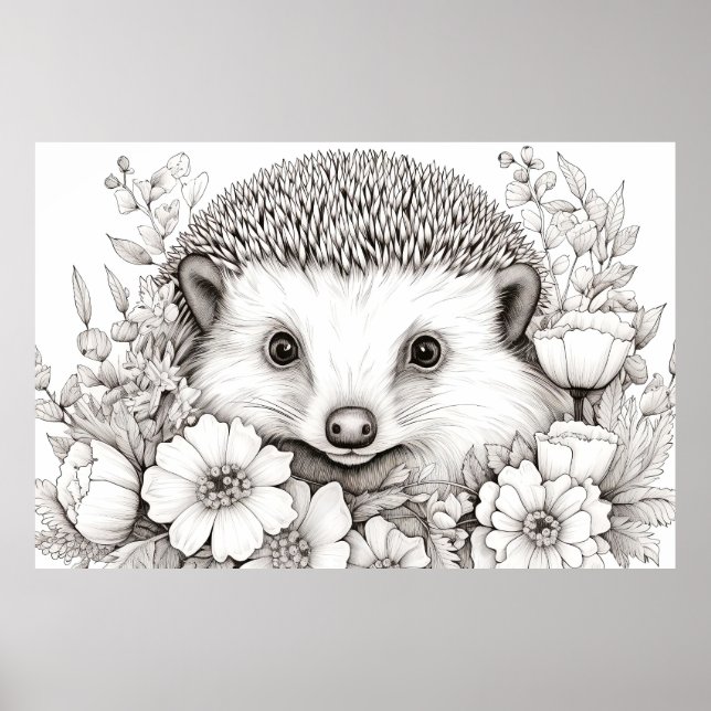 Póster Hedgehog Pacífico Natural Prairie Dibujo (Frente)