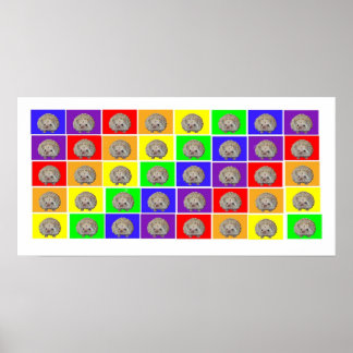 Póster Hedgehog Rainbow