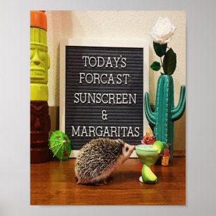 Póster Hedgehog Sunscreen y Margaritas