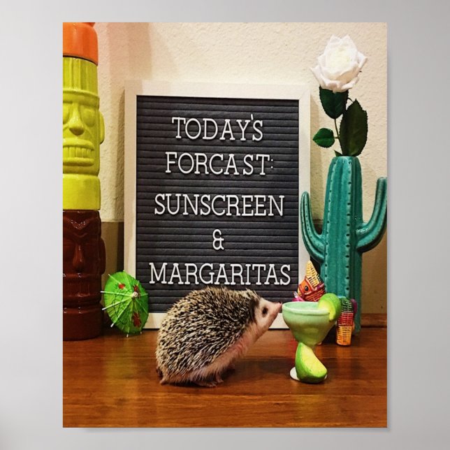 Póster Hedgehog Sunscreen y Margaritas (Frente)