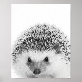 Póster Hedgehog Woodland Kids Room Decor 