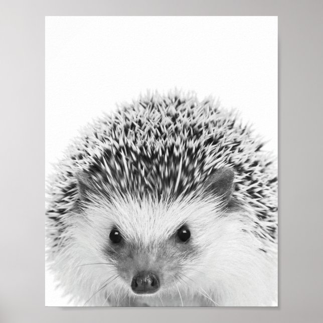 Póster Hedgehog Woodland Kids Room Decor  (Frente)