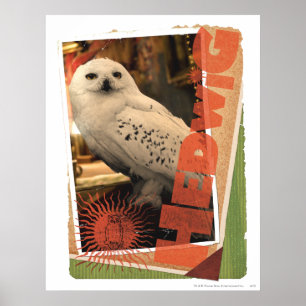 Póster Hedwig 1