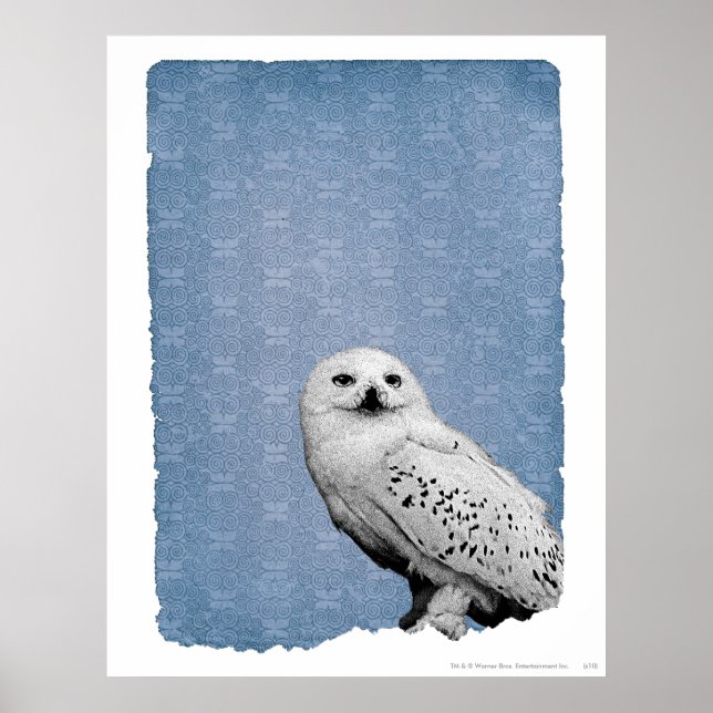 Póster Hedwig 2 (Frente)
