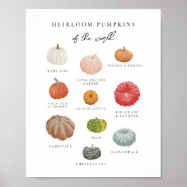 Póster Heirloom Pumpkins Art Print