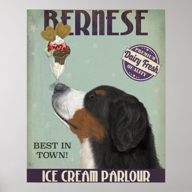 Póster Helado de Bernese (Frente)
