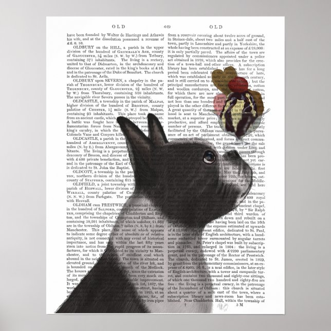 Póster Helado de Boston Terrier (Frente)