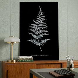 Póster Helecho Dorado, Gymnogramma Chrysophylla