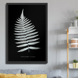 Póster Helecho - Gymnogramma Villosa - Efecto de rayos X