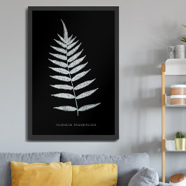 Póster Helecho - Polypodyum Fraxinifolium - efecto Radiog