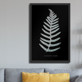 Póster Helecho - Polypodyum Vulgare - Efecto de rayos X -