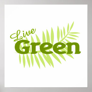 Póster helecho verde vivo