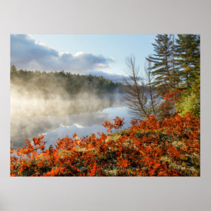 Póster Helechos en la orilla   Paradise, Michigan