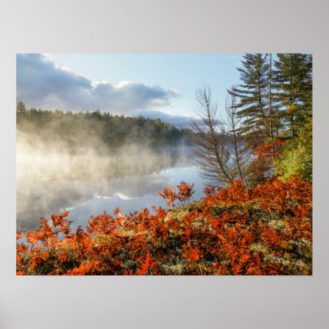 Póster Helechos en la orilla | Paradise, Michigan (Frente)