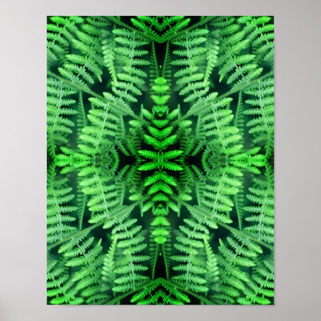 Póster Helechos Verdes Silvestres Abstractos       (Frente)