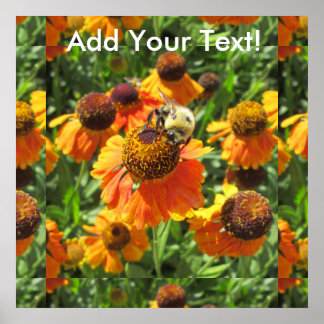 Póster Helenium Bee Naranja Flower