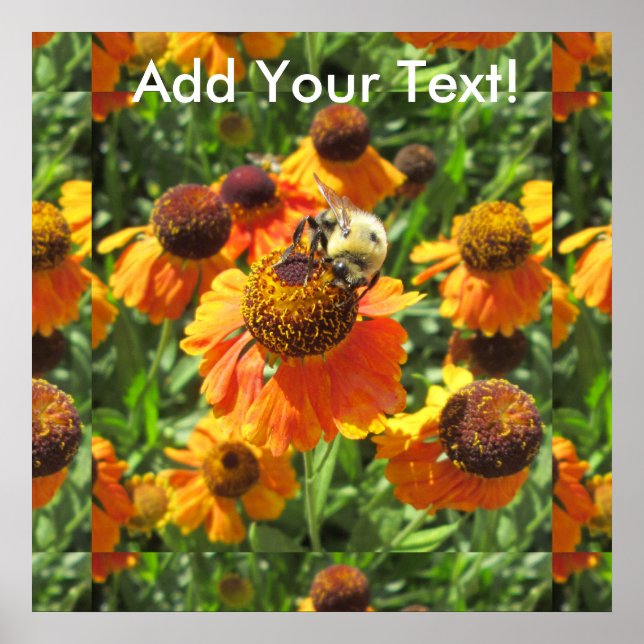 Póster Helenium Bee Naranja Flower (Frente)