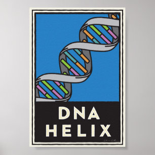 Póster Hélice de la DNA