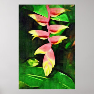 Póster Heliconia Tropical - Cobarde de langosta