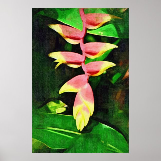 Póster Heliconia Tropical - Cobarde de langosta (Frente)