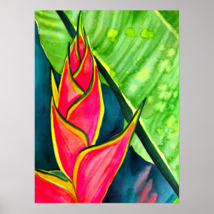 Póster Helicóponia acuática flor tropical