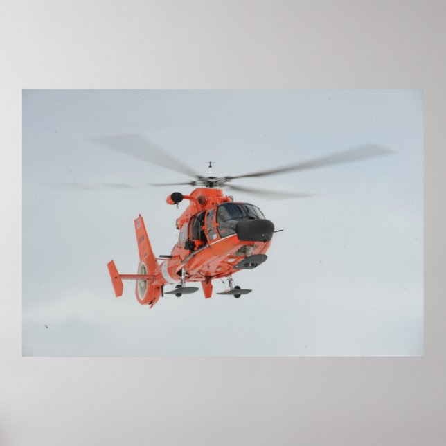 Póster Helicóptero para delfines HH-65 de la guardia cost (Frente)