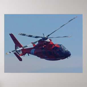 Póster Helicóptero para delfines HH-65B de la guardia cos