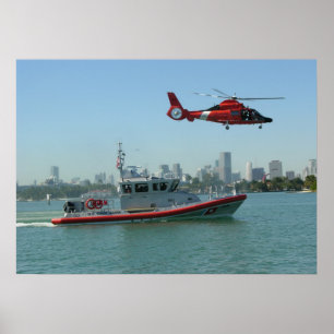 Póster Helicóptero para delfines MH-65 de la Guardia Cost