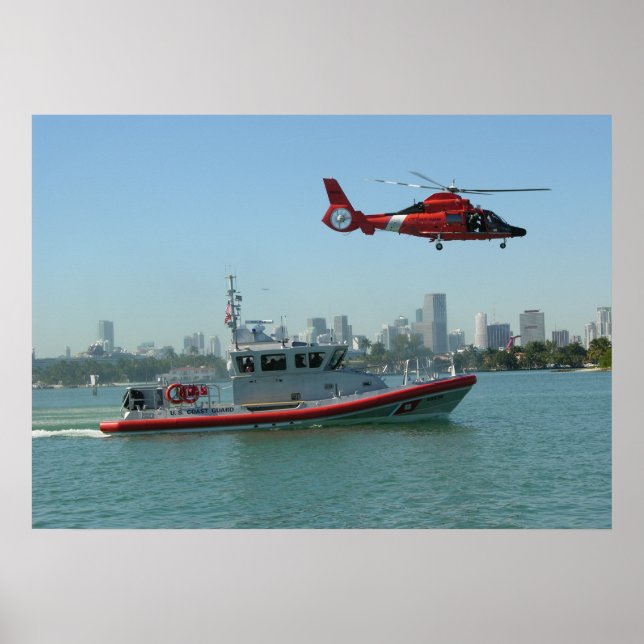 Póster Helicóptero para delfines MH-65 de la Guardia Cost (Frente)