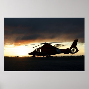 Póster Helicóptero para delfines MH-65 de la Guardia Cost