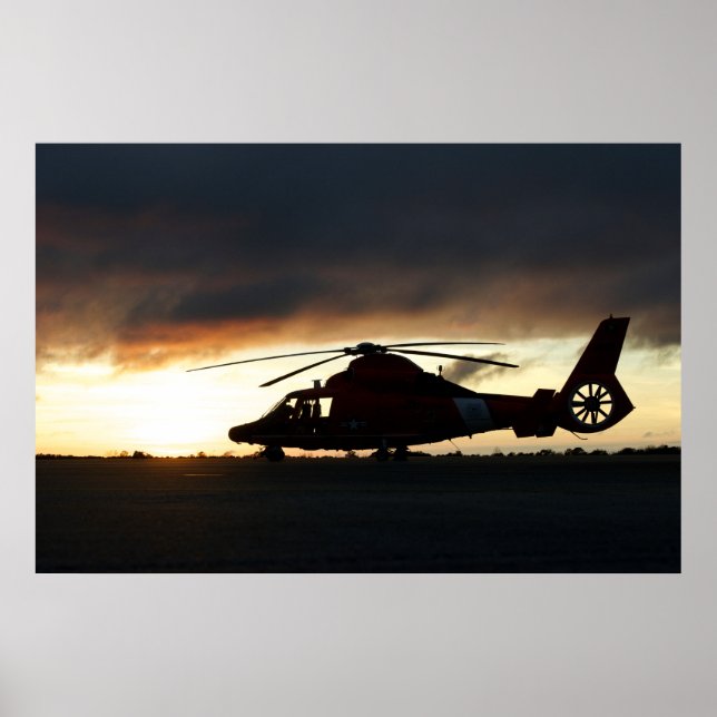 Póster Helicóptero para delfines MH-65 de la Guardia Cost (Frente)