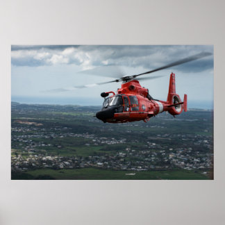 Póster Helicóptero para delfines MH-65 de la Guardia Cost