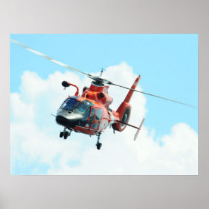 Póster Helicóptero para delfines MH-65C de la Guardia Cos