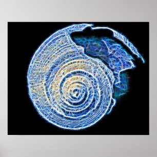 Póster Helix rota - Versión alternativa
